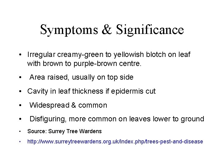 Symptoms & Significance • Irregular creamy-green to yellowish blotch on leaf with brown to