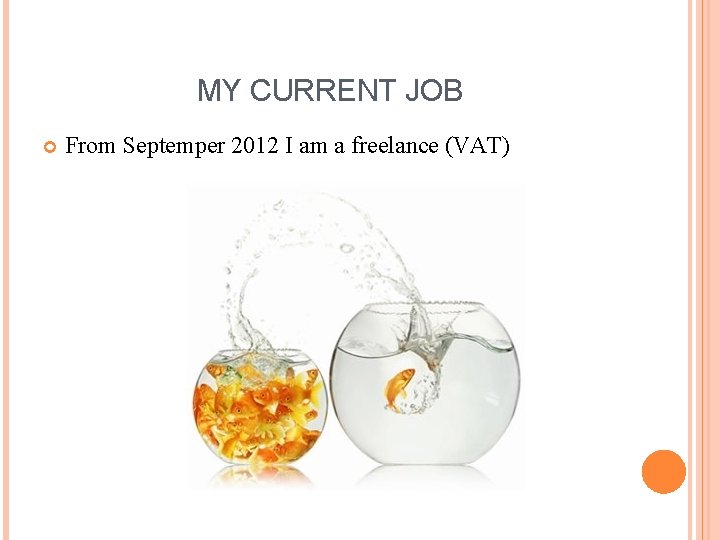 MY CURRENT JOB From Septemper 2012 I am a freelance (VAT) 