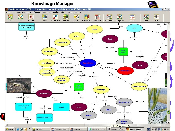 Knowledge Manager 