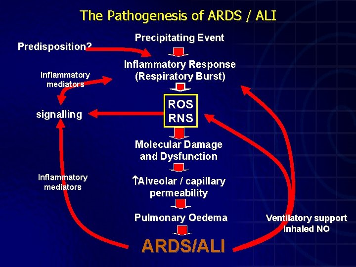 The Pathogenesis of ARDS / ALI Predisposition? Inflammatory mediators signalling Precipitating Event Inflammatory Response