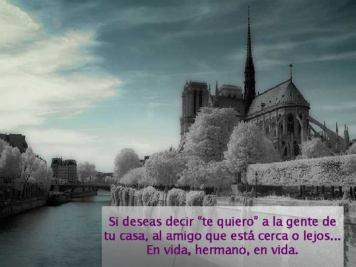 Si deseas decir “te quiero” a la gente de tu casa, al amigo que