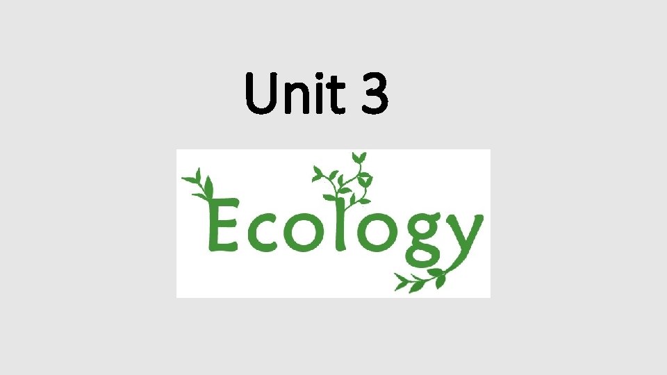 Unit 3 