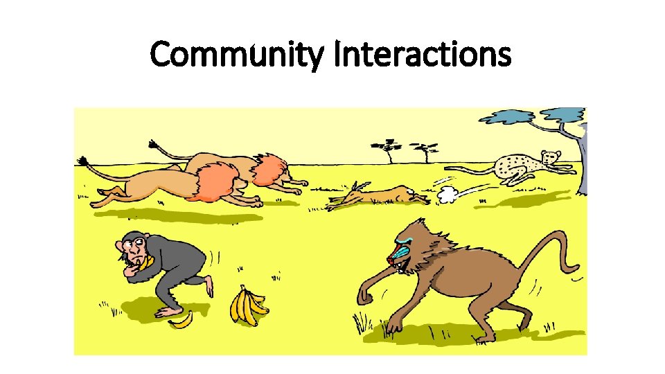 Community Interactions 