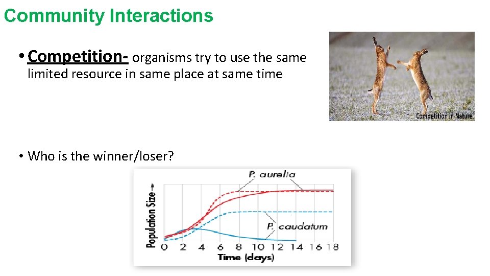 Community Interactions • Competition- organisms try to use the same limited resource in same