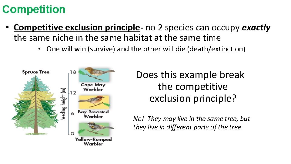 Competition • Competitive exclusion principle- no 2 species can occupy exactly the same niche