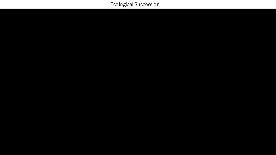 Ecological Succession 