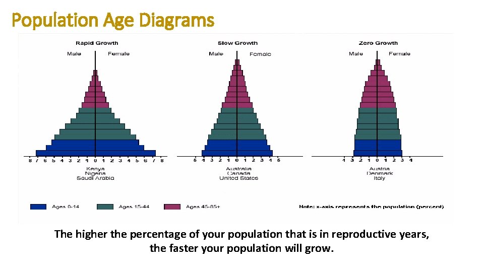 Population Age Diagrams The higher the percentage of your population that is in reproductive