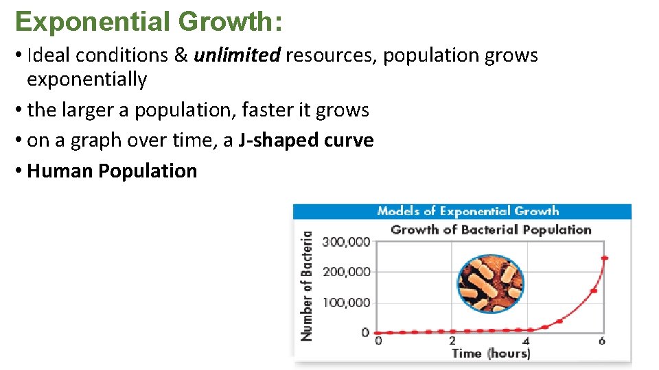 Exponential Growth: • Ideal conditions & unlimited resources, population grows exponentially • the larger