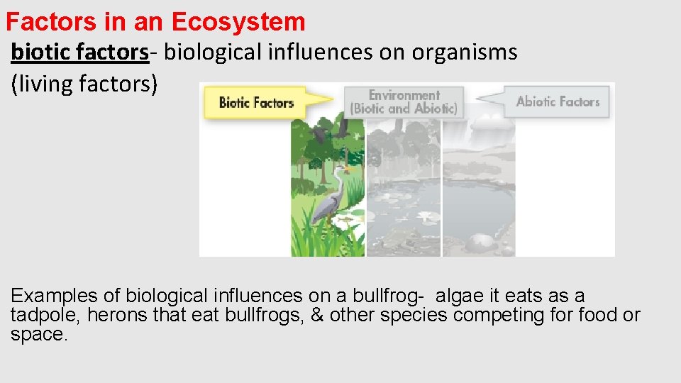 Factors in an Ecosystem biotic factors- biological influences on organisms (living factors) Examples of