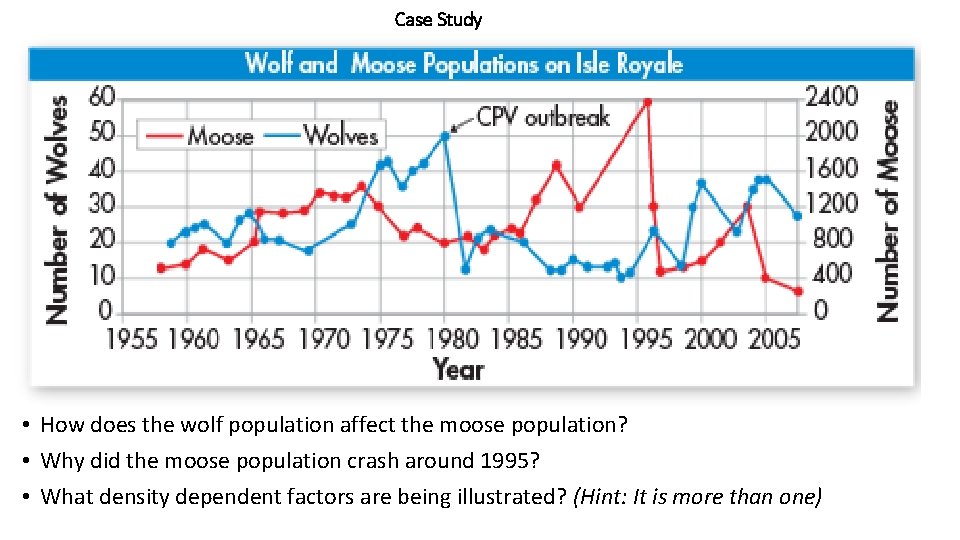 Case Study • How does the wolf population affect the moose population? • Why