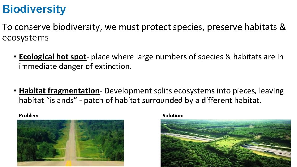 Biodiversity To conserve biodiversity, we must protect species, preserve habitats & ecosystems • Ecological