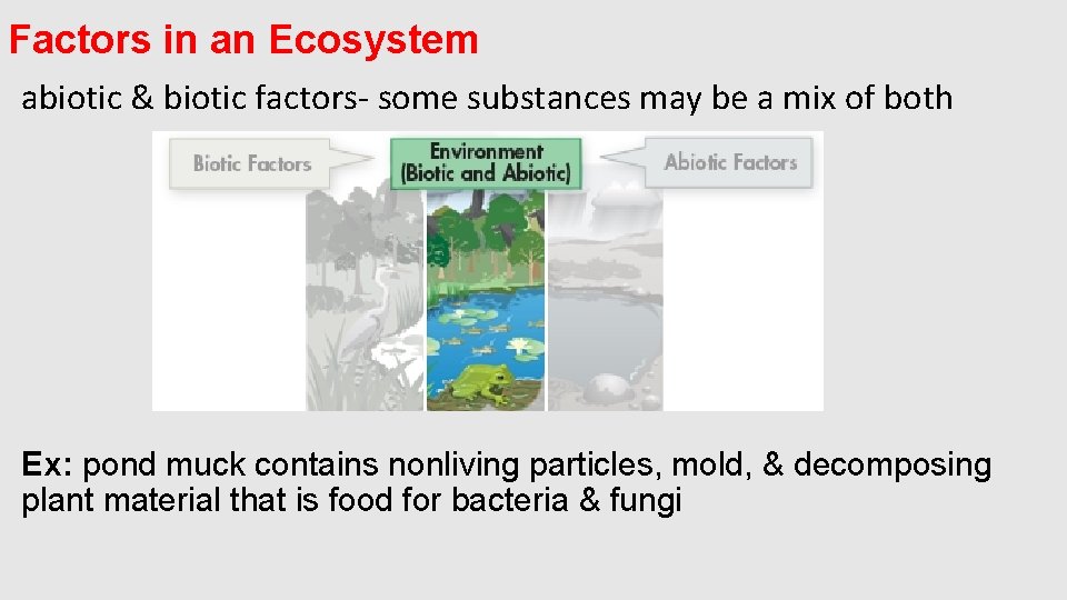 Factors in an Ecosystem abiotic & biotic factors- some substances may be a mix