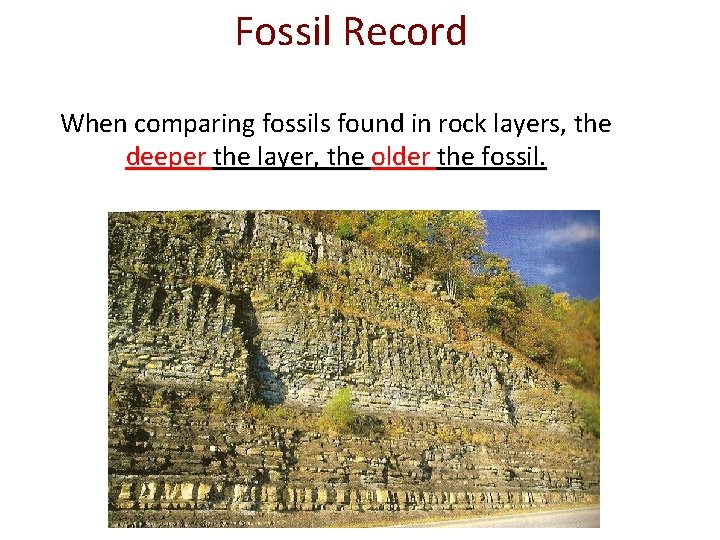 Fossil Record When comparing fossils found in rock layers, the deeper the layer, the