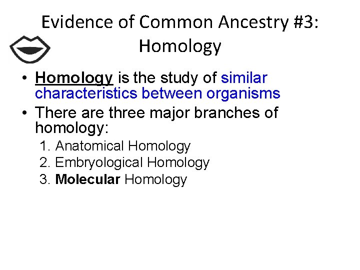 Evidence of Common Ancestry #3: Homology • Homology is the study of similar characteristics