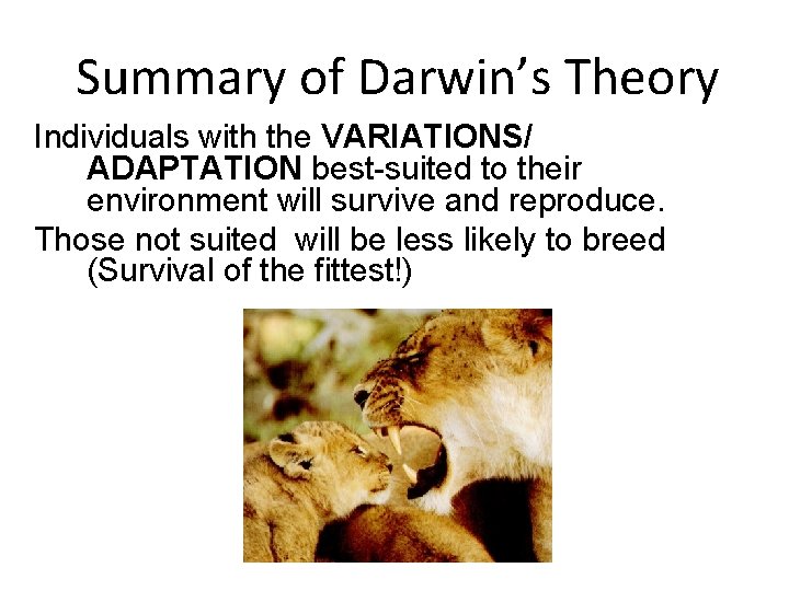 Summary of Darwin’s Theory Individuals with the VARIATIONS/ ADAPTATION best-suited to their environment will