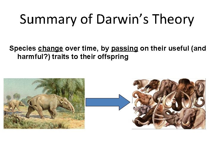 Summary of Darwin’s Theory Species change over time, by passing on their useful (and