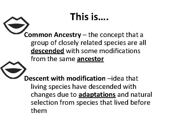 This is…. Common Ancestry – the concept that a group of closely related species