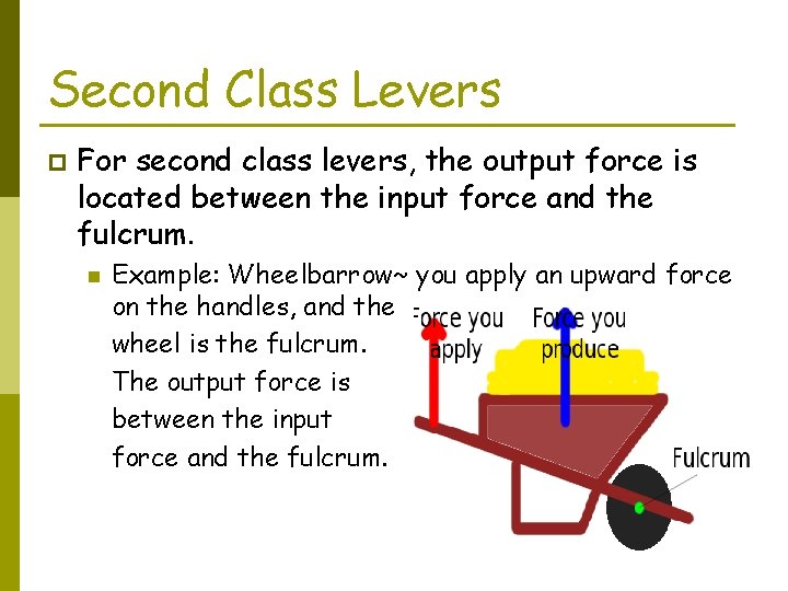 Second Class Levers p For second class levers, the output force is located between