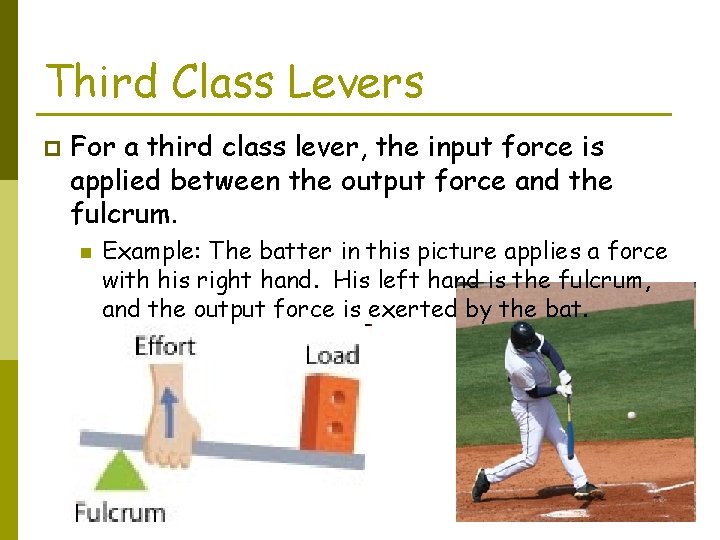 Third Class Levers p For a third class lever, the input force is applied