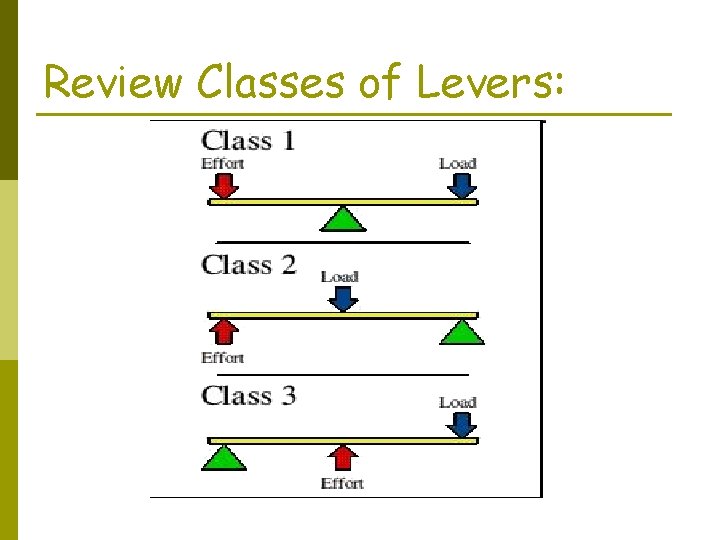 Review Classes of Levers: 