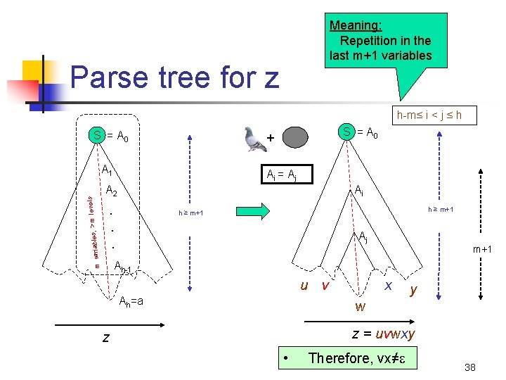 Meaning: Repetition in the last m+1 variables Parse tree for z h-m≤ i <
