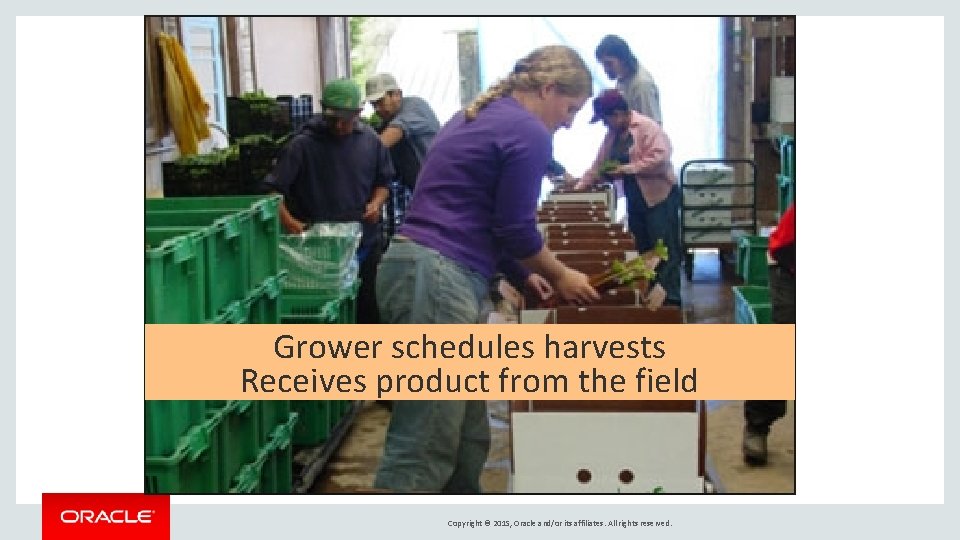 Grower schedules harvests Receives product from the field Copyright © 2015, Oracle and/or its