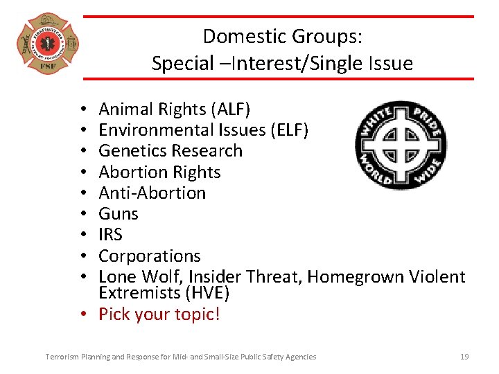 Domestic Groups: Special –Interest/Single Issue Animal Rights (ALF) Environmental Issues (ELF) Genetics Research Abortion