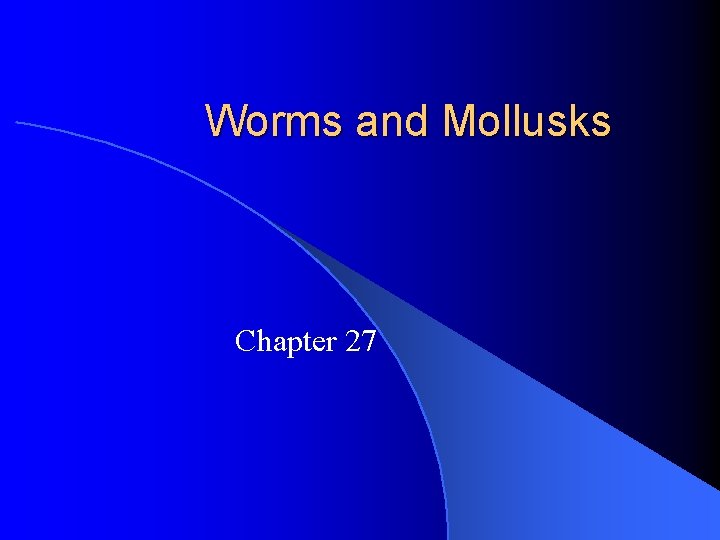 Worms and Mollusks Chapter 27 Worms and Mollusks Chapter 27