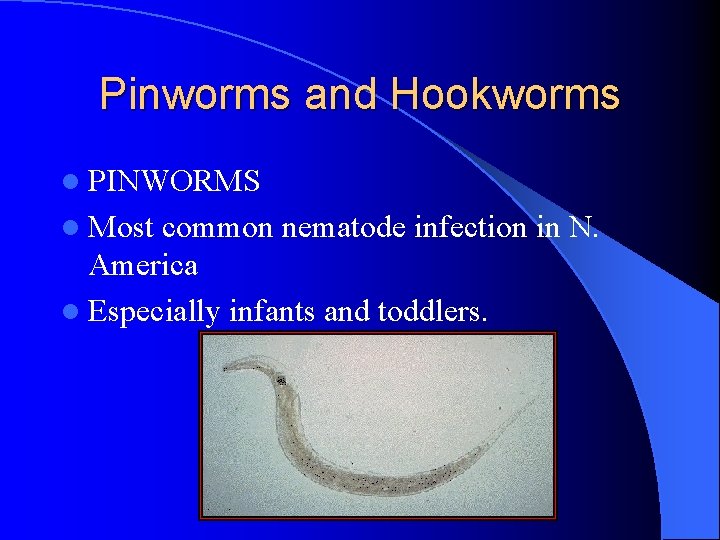 Pinworms and Hookworms l PINWORMS l Most common nematode infection in N. America l Pinworms and Hookworms l PINWORMS l Most common nematode infection in N. America l