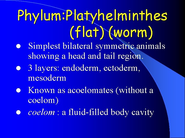 Phylum: Platyhelminthes (flat) (worm) Simplest bilateral symmetric animals showing a head and tail region. Phylum: Platyhelminthes (flat) (worm) Simplest bilateral symmetric animals showing a head and tail region.