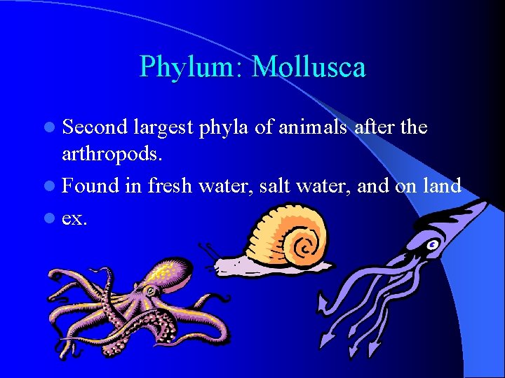 Phylum: Mollusca l Second largest phyla of animals after the arthropods. l Found in Phylum: Mollusca l Second largest phyla of animals after the arthropods. l Found in