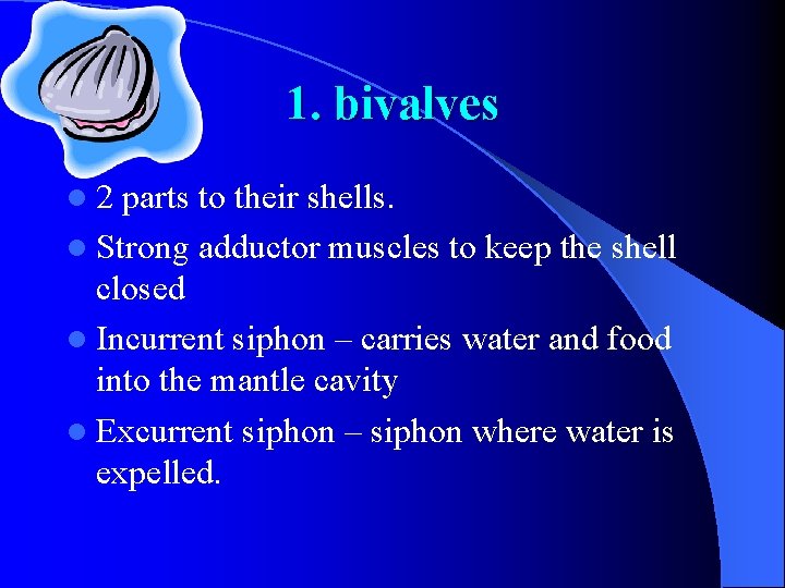 1. bivalves l 2 parts to their shells. l Strong adductor muscles to keep 1. bivalves l 2 parts to their shells. l Strong adductor muscles to keep