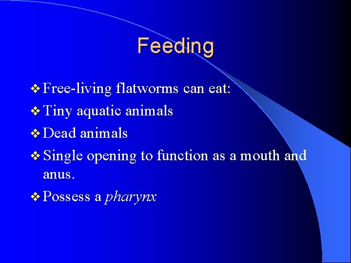 Feeding v Free-living flatworms can eat: v Tiny aquatic animals v Dead animals v Feeding v Free-living flatworms can eat: v Tiny aquatic animals v Dead animals v