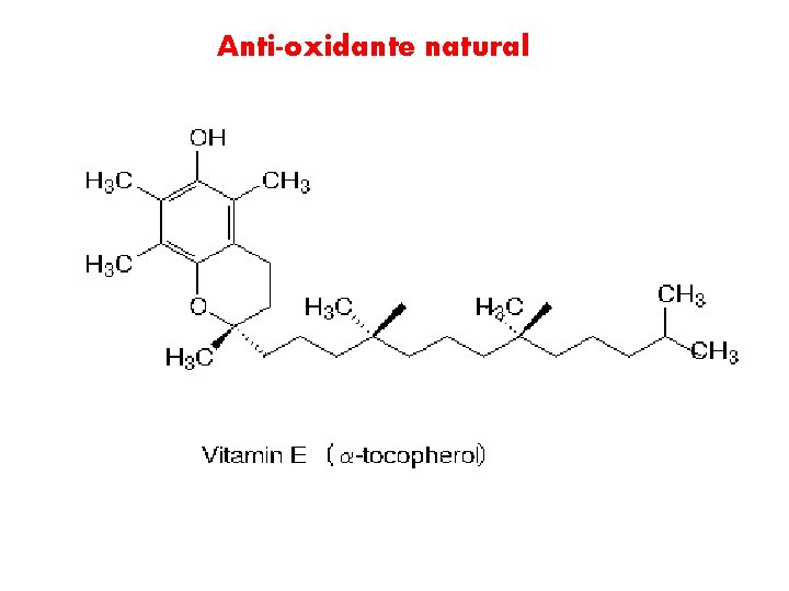 Anti-oxidante natural 