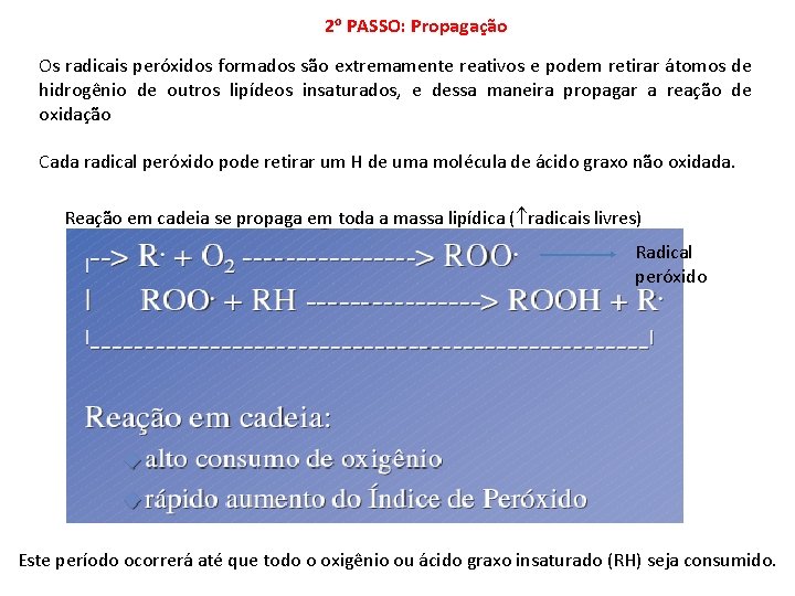 2 o PASSO: Propagação Os radicais peróxidos formados são extremamente reativos e podem retirar