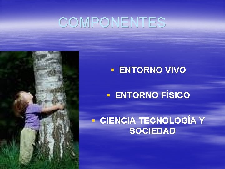 COMPONENTES § ENTORNO VIVO § ENTORNO FÍSICO § CIENCIA TECNOLOGÍA Y SOCIEDAD 