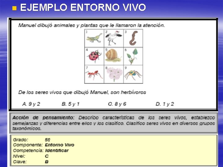 n EJEMPLO ENTORNO VIVO 