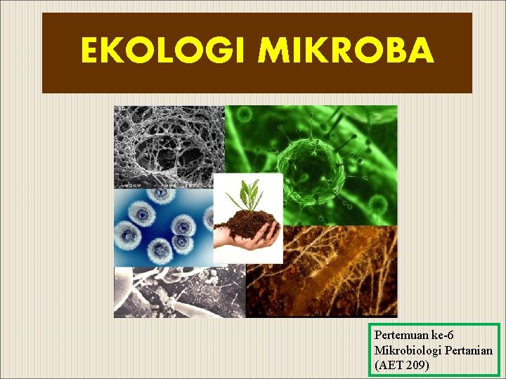 EKOLOGI MIKROBA Pertemuan ke-6 Mikrobiologi Pertanian (AET 209) 