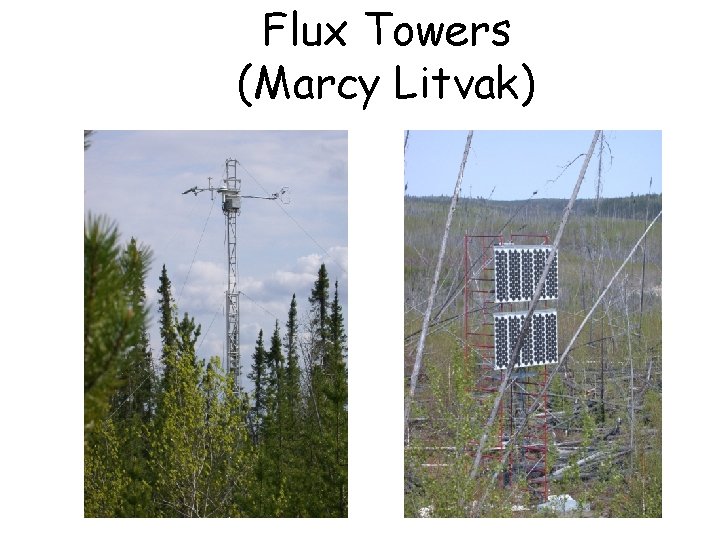 Flux Towers (Marcy Litvak) 