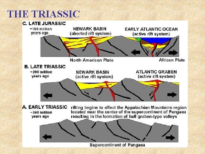 THE TRIASSIC 