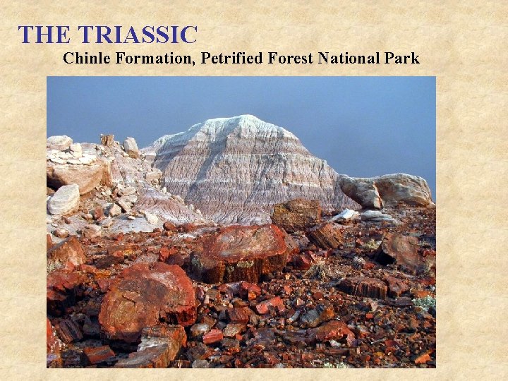 THE TRIASSIC Chinle Formation, Petrified Forest National Park 