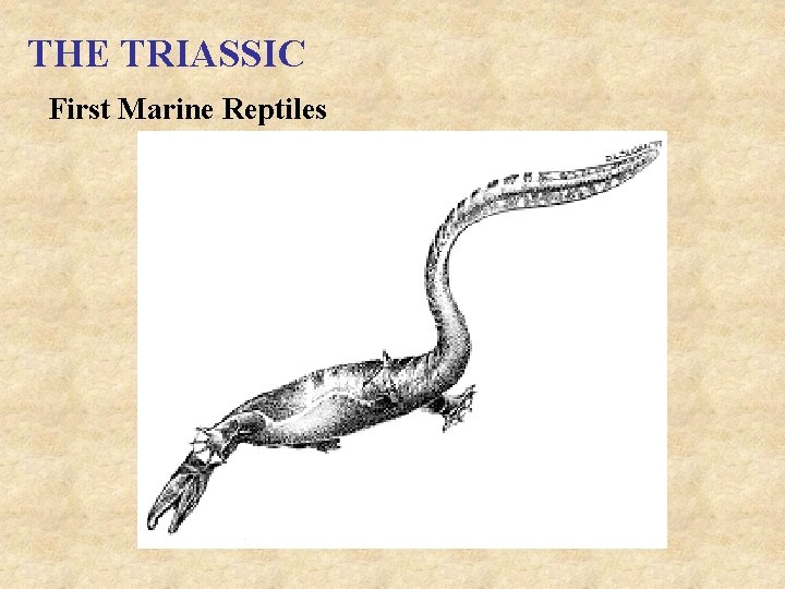 THE TRIASSIC First Marine Reptiles 