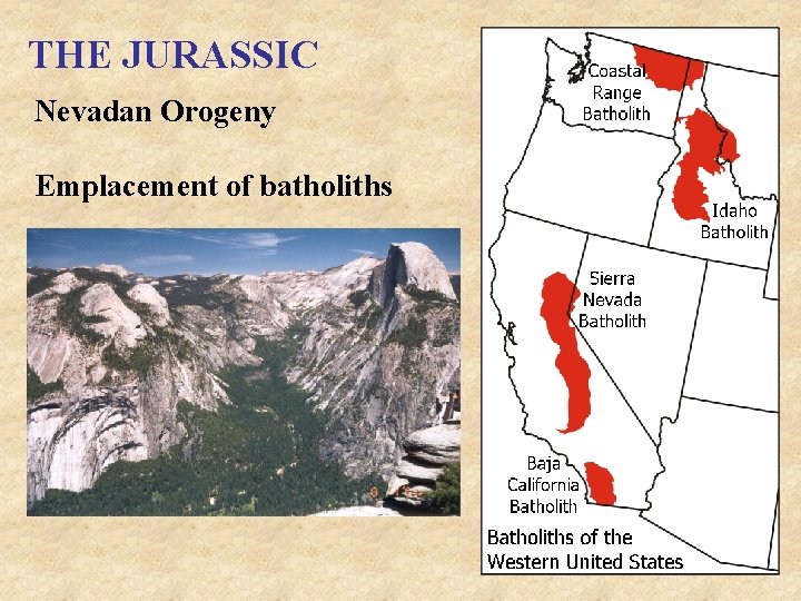 THE JURASSIC Nevadan Orogeny Emplacement of batholiths 