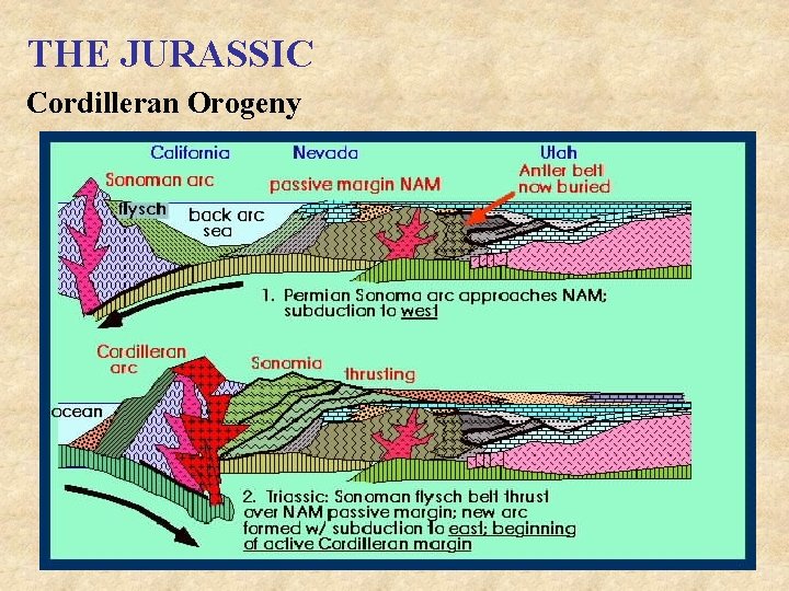 THE JURASSIC Cordilleran Orogeny 