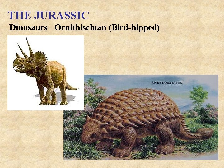 THE JURASSIC Dinosaurs Ornithischian (Bird-hipped) 