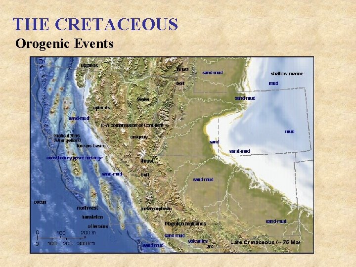 THE CRETACEOUS Orogenic Events 