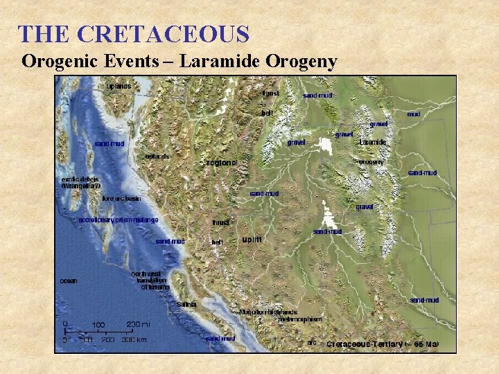 THE CRETACEOUS Orogenic Events – Laramide Orogeny 
