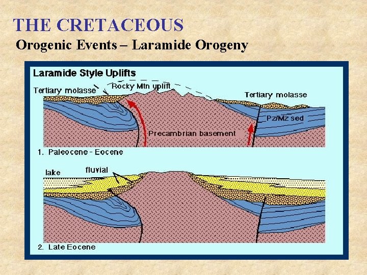 THE CRETACEOUS Orogenic Events – Laramide Orogeny 