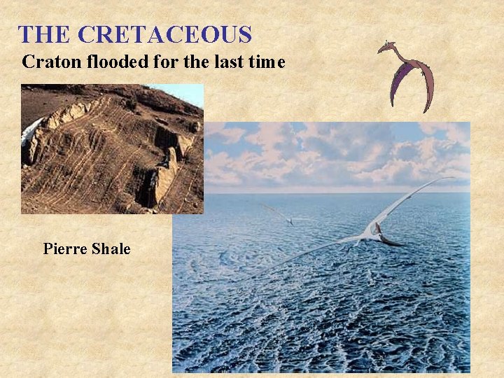THE CRETACEOUS Craton flooded for the last time Pierre Shale 