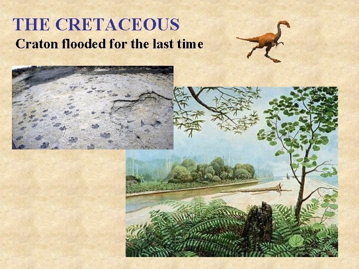 THE CRETACEOUS Craton flooded for the last time 